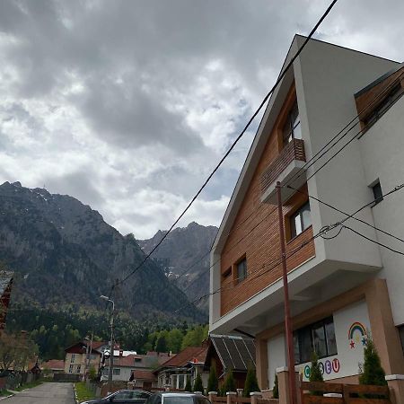 Hotel Vila Curcubeu Buşteni Exterior foto