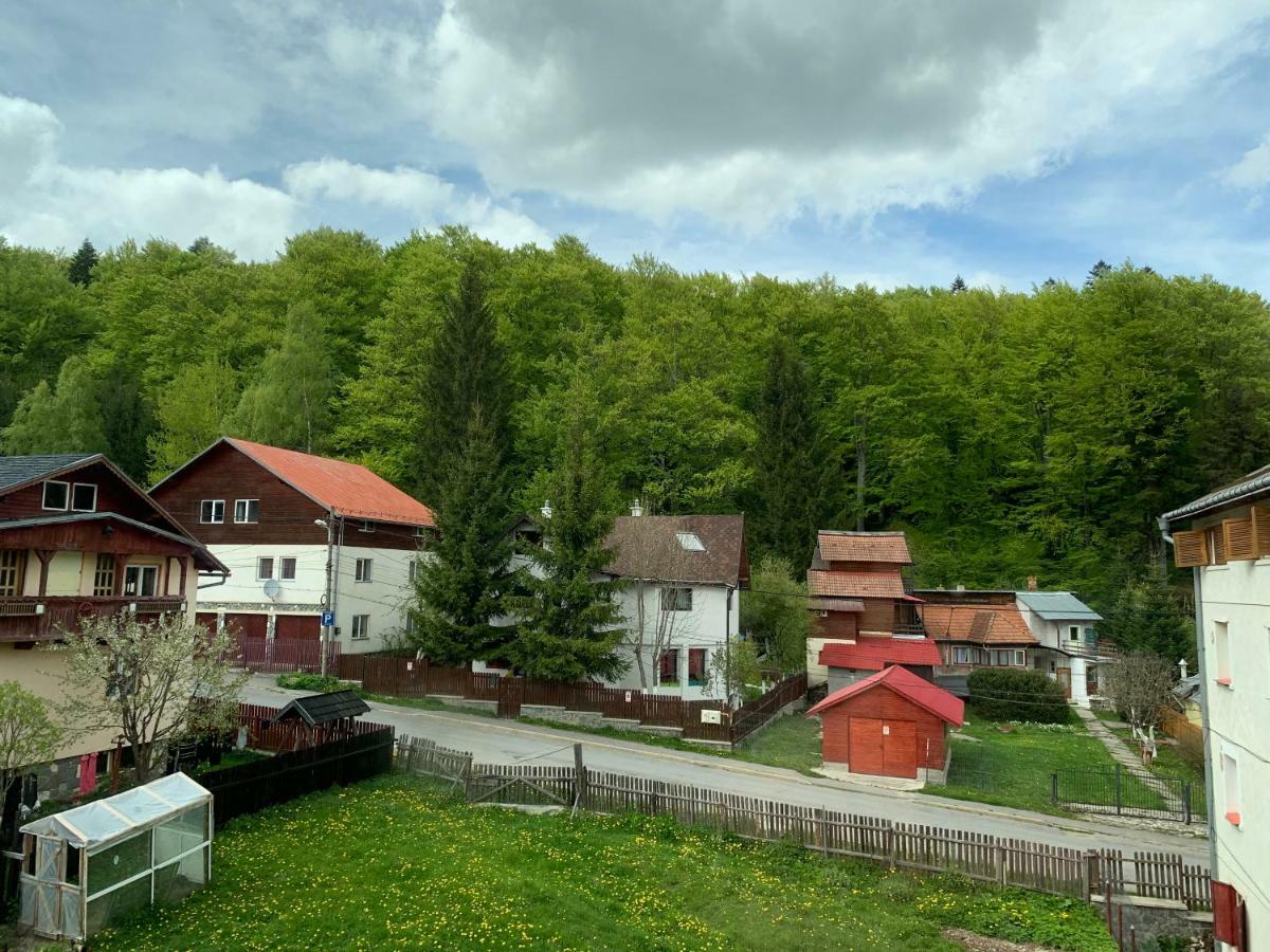 Hotel Vila Curcubeu Buşteni Exterior foto