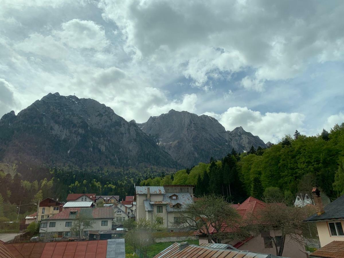 Hotel Vila Curcubeu Buşteni Exterior foto
